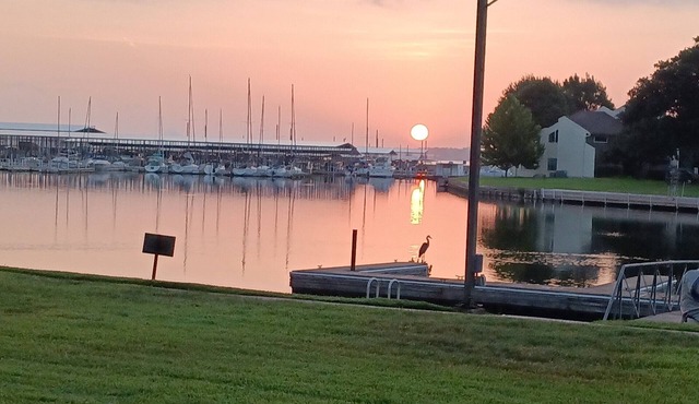 Beautiful sunrises waterfront condo with boat docking on backyard