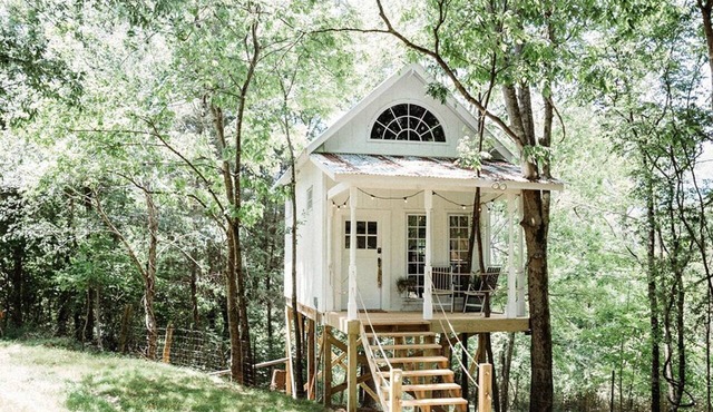 Beautiful Tree House for a Romantic Getaway on a Farm near Chattanooga Valley, Georgia