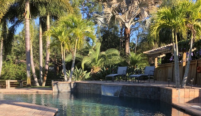 Bella's a Tropical Treasure ROOM#2 no fees Queen bed, private bath