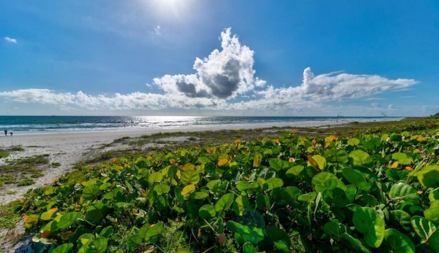 Blue Skies Oceanfront 2 bedroom townhouse