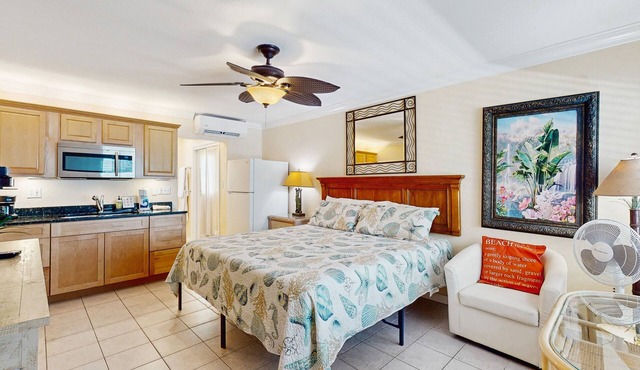 Charming dog-friendly studio with WiFi, shared washer/dryer - snowbirds OK