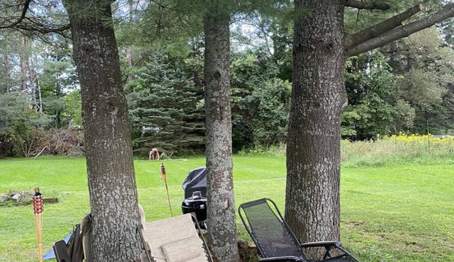 Charming home quick walk to beach and shops. 8 minutes from Saddleback in Rangeley