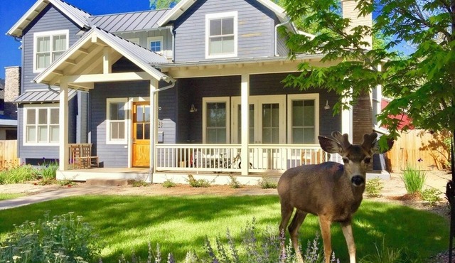Charming Private Guest Suite located near downtown, shopping and hiking