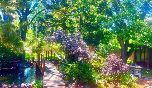 Charming, serene, eclectic 4brm/2.5 ba., mnt. views, lrg yard on multi-use path