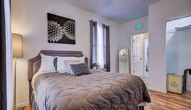 Comfy Cozy 2 bedroom near downtown