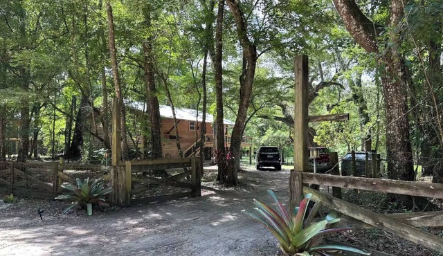 Confluence Cabin: Waterfront - Float the Ichetucknee right to our dock