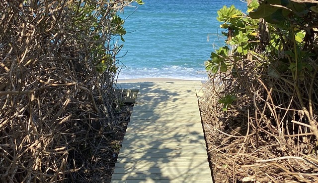 Cosy ground floor apartment in house on a private beach.