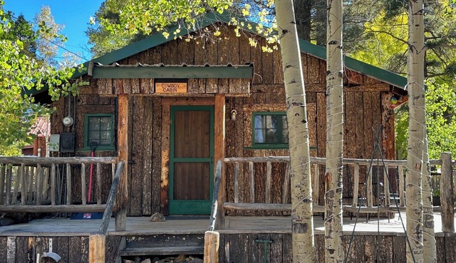 Cowboy Cabin in Red River