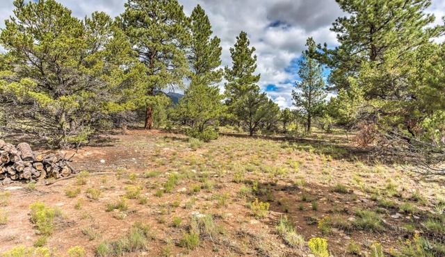 Cozy Buena Vista Apartment < 4 Mi to Main Street!