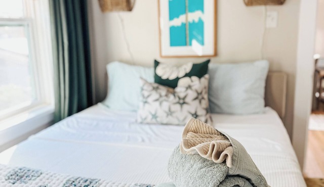 Cozy Coastal 1-bedroom apartment in St Petersburg minutes from the Beach