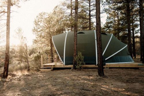 Cozy Glamping Tent with Heritage Orchard & Farm Animals near Mountainair in Torreon, New Mexico