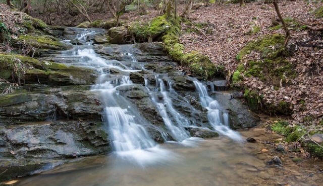 Creekfront Cabin with Waterfall. Hot Tub, Fire Pit, Gameroom, and more.