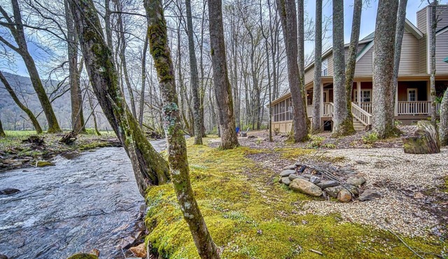 Creekfront Hayesville cottage with beautiful sunrise and sunset views!