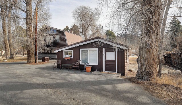 Delightful 1BR cabin with AC in Buena Vista - Walk to Main Street!