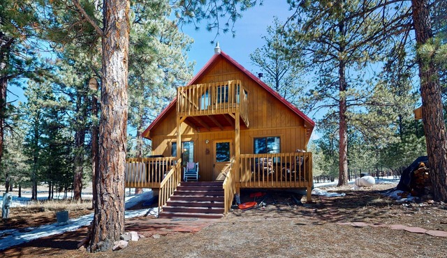 Deluxe mountain cabin with scenic views, woodstove, W/D, & grill - dog friendly