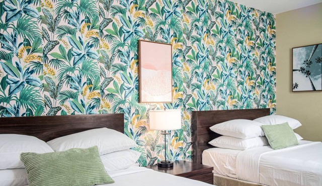 Digital Retro Boutique Hotel - Double Full Near Historic Downtown St. Augustine & the Beach in Saint Augustine
