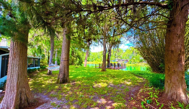 Direct Rainbow Springs River Paradise near Swampys! Spacious Family Friendly 3/2