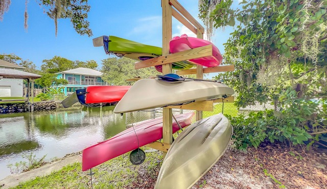 Dock Kayaks Manatees Waterfront 3/2 <2mi to Downtown Pet Friendly