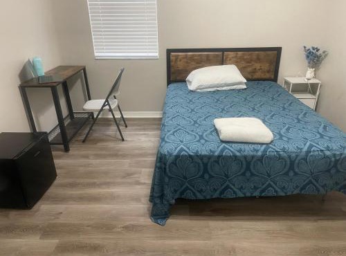 Dolphin Room