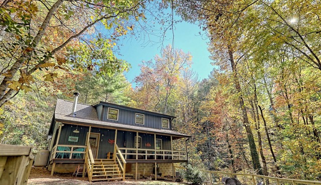 Fenced-in Backyard Near Clayton & Black Rock Mountain!