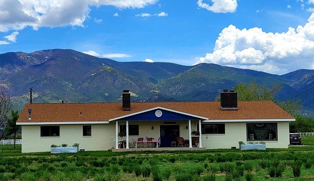 Gather your Family and Friends and explore our historic Mtn Town!