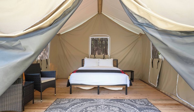 Glamp 15- Delicate Bluebell in Bellvue