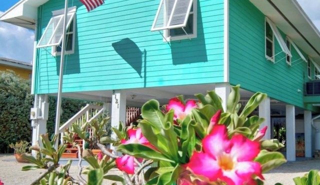 Gulfside Yellowtail Retreat