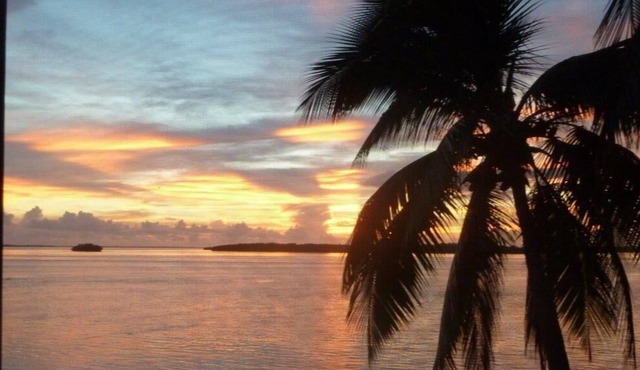 Harbour Tower #116 SUNSHINE...SUNSETS...STEPS FROM THE BEACH…RENOVATED 2 BED CONDO