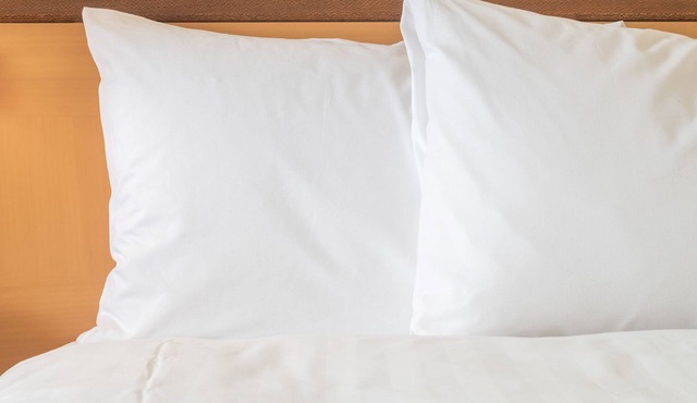 Holiday Inn Express & Suites Van Horn by IHG