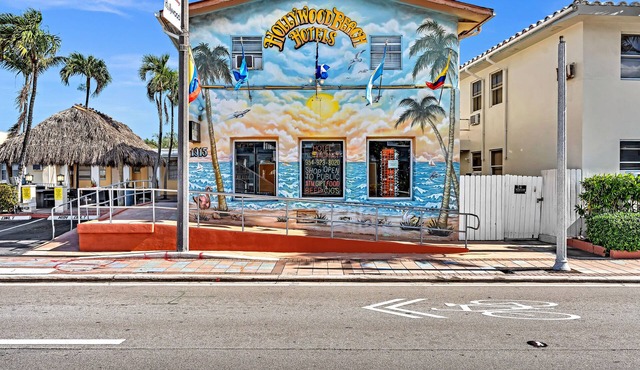Hollywood Beach Seagull