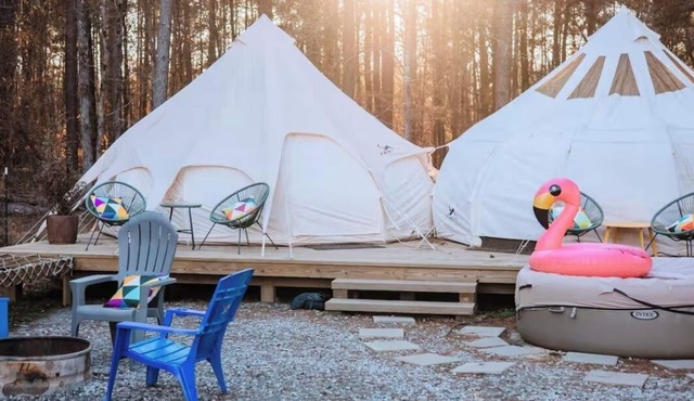 Kettles Corner Yurt with llamas, fluffy cows, and snuggly sheep