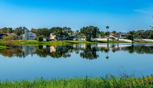 Lakeview Family Retreat | Pet Friendly | Lanai & Fenced Yard | Near Tampa & Brandon