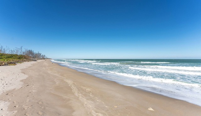 Limited-Time Spring & Summer Deals: Dog-Friendly 2BR Beach Getaway