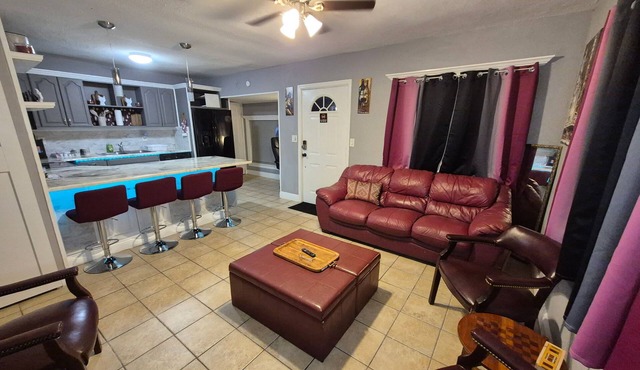 Lively Mini Retreat near the Beach in St. Pete