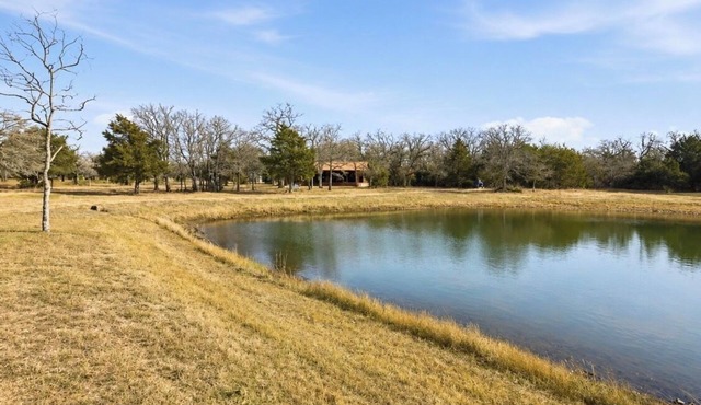 Luxury Christmas Cabin Near Round Top- Reindeer Ranch Retreat -Designer Favorite
