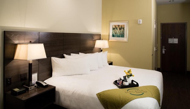 Malana Hotels & Suites