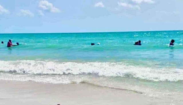 Naples Oasis |Heated Pool |3BR /2 BA |4miles to Beach | Dog Friendly