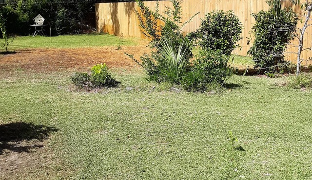 New Studio apartment, built in 2019, on private, fenced-in property.