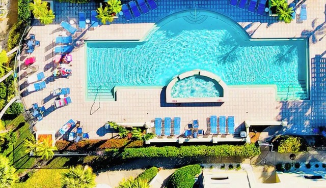 Oasis Dream 2 Bedroom 2 Bath Clearwater Condo 10 min to Beach Heated Pool