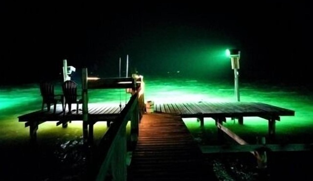 On the Rocks. Three Bedroom, Two Bath. Private Fishing Pier.