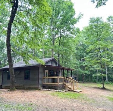 Peaceful, cozy cabin in the woods