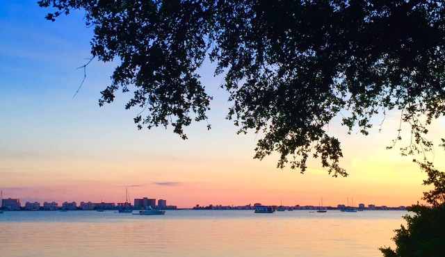 Peaceful Waterfront Cottage, Steps to Gulfport! Old Oaks Tall Pines Lush Yard.