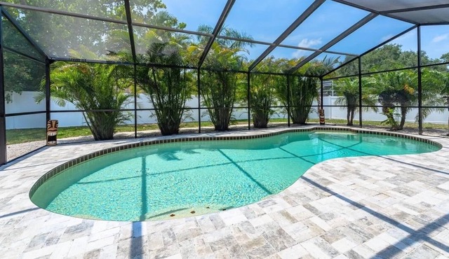 Private Pool, Dreams of Paradise
