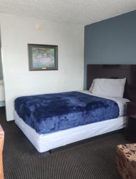 Queen Bed Hotel Room 204