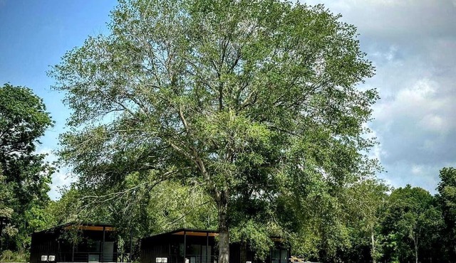 Relaxing Tiny Home Retreat with Pool, Goats & Firepits near Houston in Hempstead, Texas