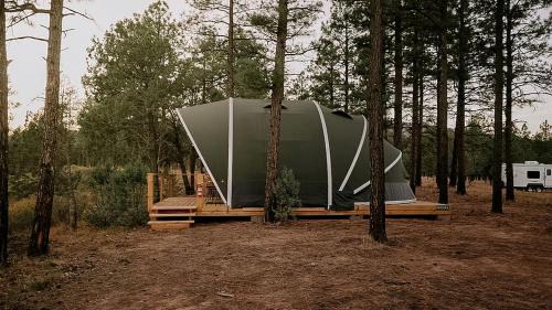 Scenic Glamping Tent with Orchard & Farm Animals near Mountainair in Torreon, New Mexico