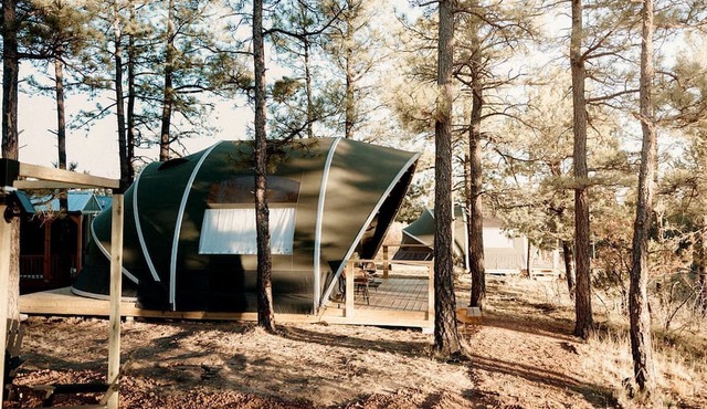 Scenic Mountain Glamping Tent with Orchard & Farm Animals near Quarai Ruins in Torreon, New Mexico