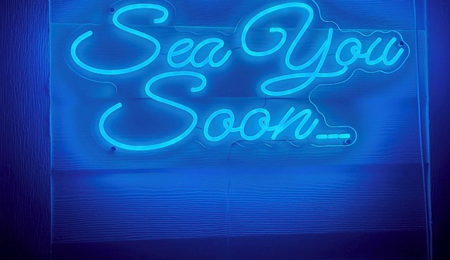 Sea You Soon! 2B/2Ba Canal Front Condo at Key Allegro, Rockport
