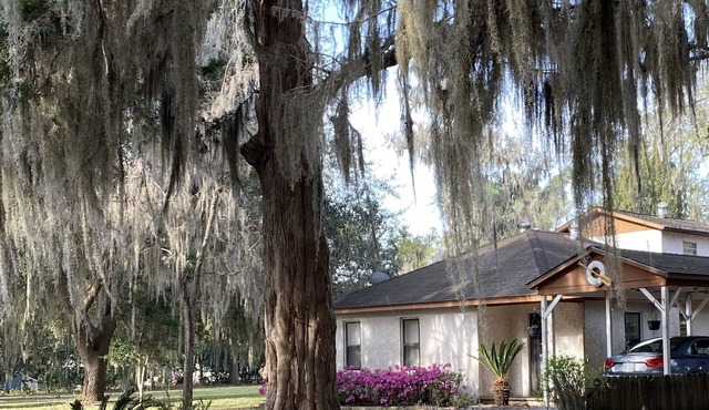 Seagrove House in Historic District- Dog Friendly, 2 Blocks from Riverfront Park