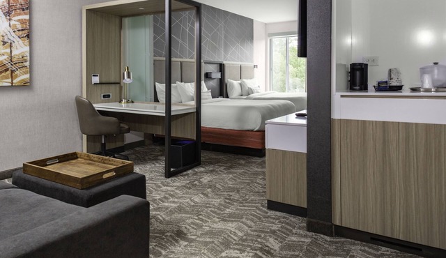 SpringHill Suites by Marriott Atlanta Alpharetta/Roswell in Alpharetta